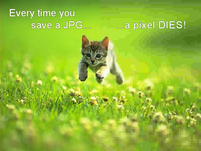 Every time you save a JPG, a pixel DIES!